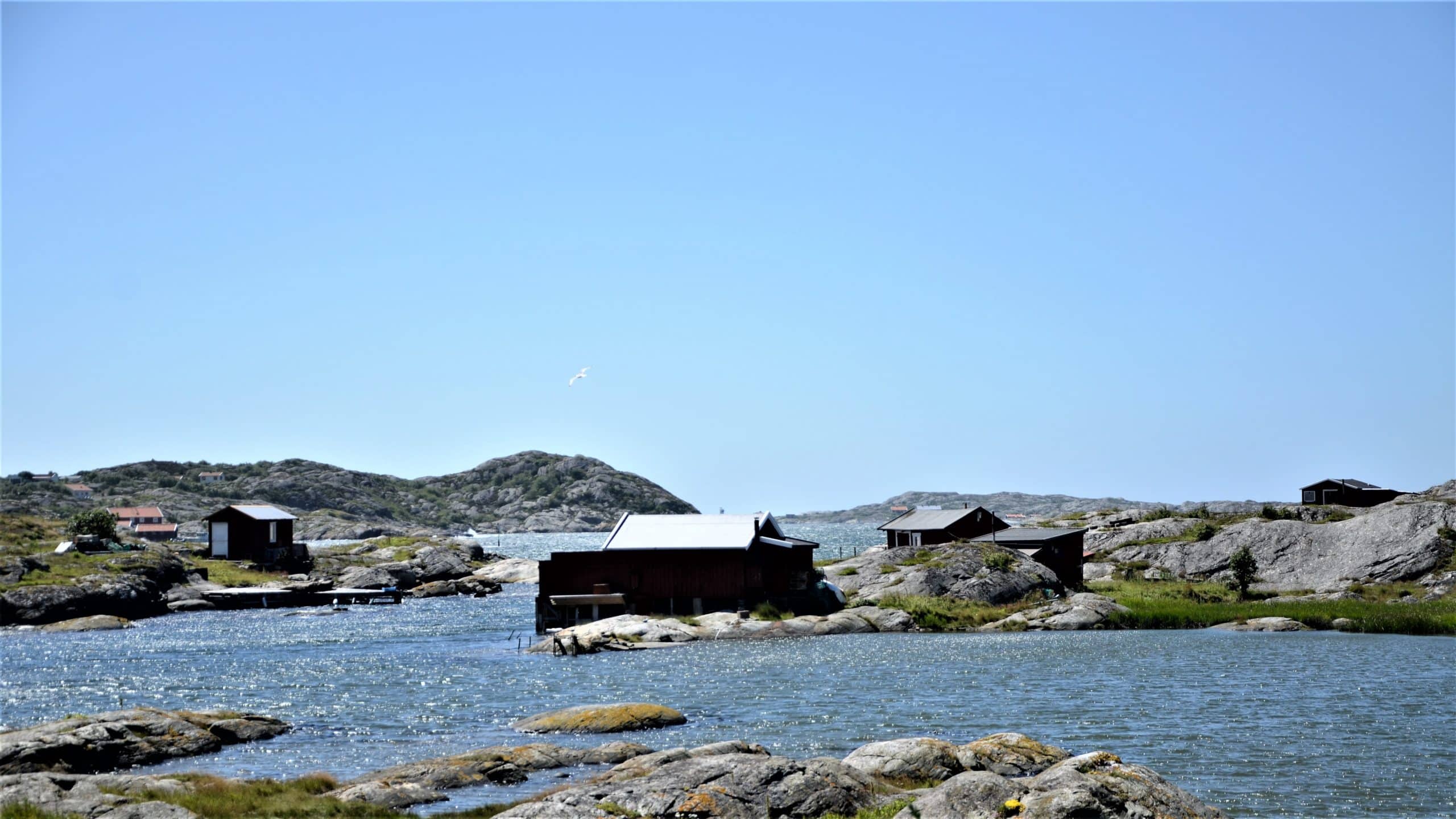 DSC_3711 (2)